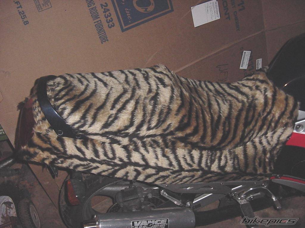 Photo 128898