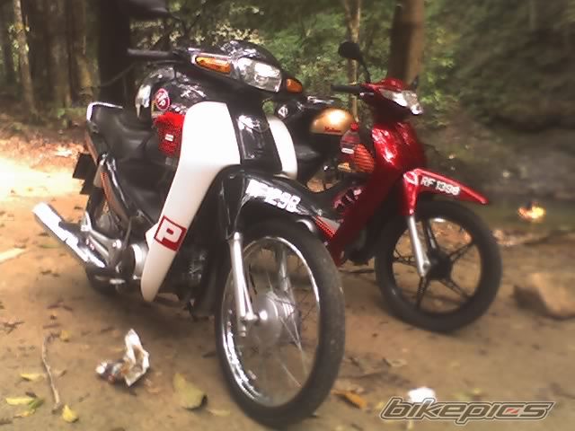 Photo 1289091