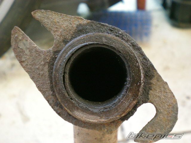 Photo 1289110