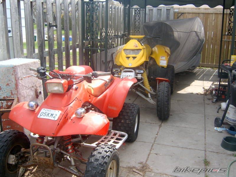 Photo 1289154