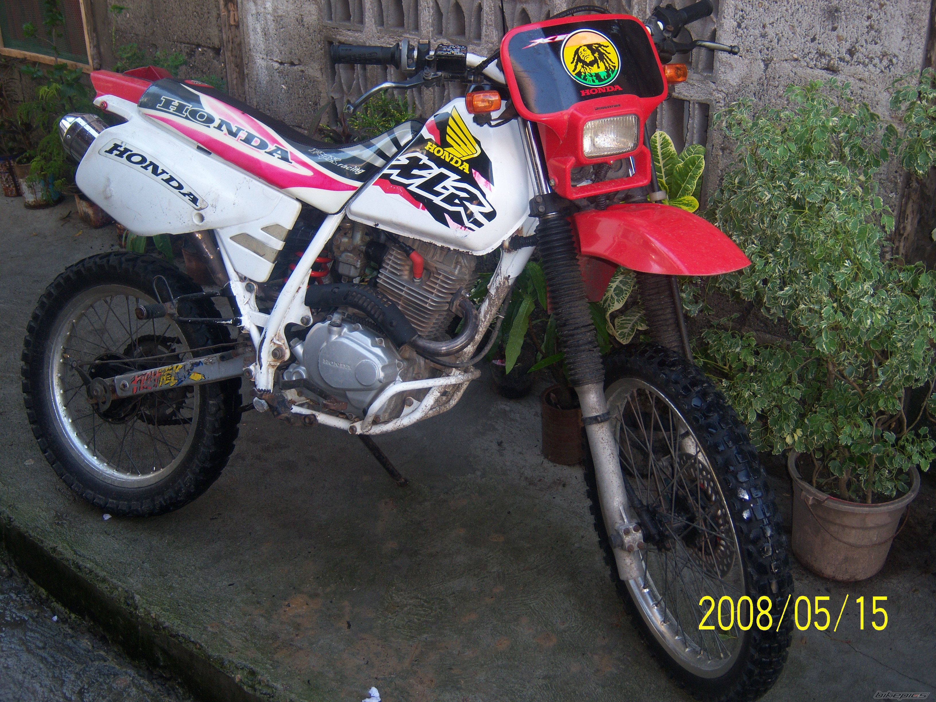 Photo 1289202