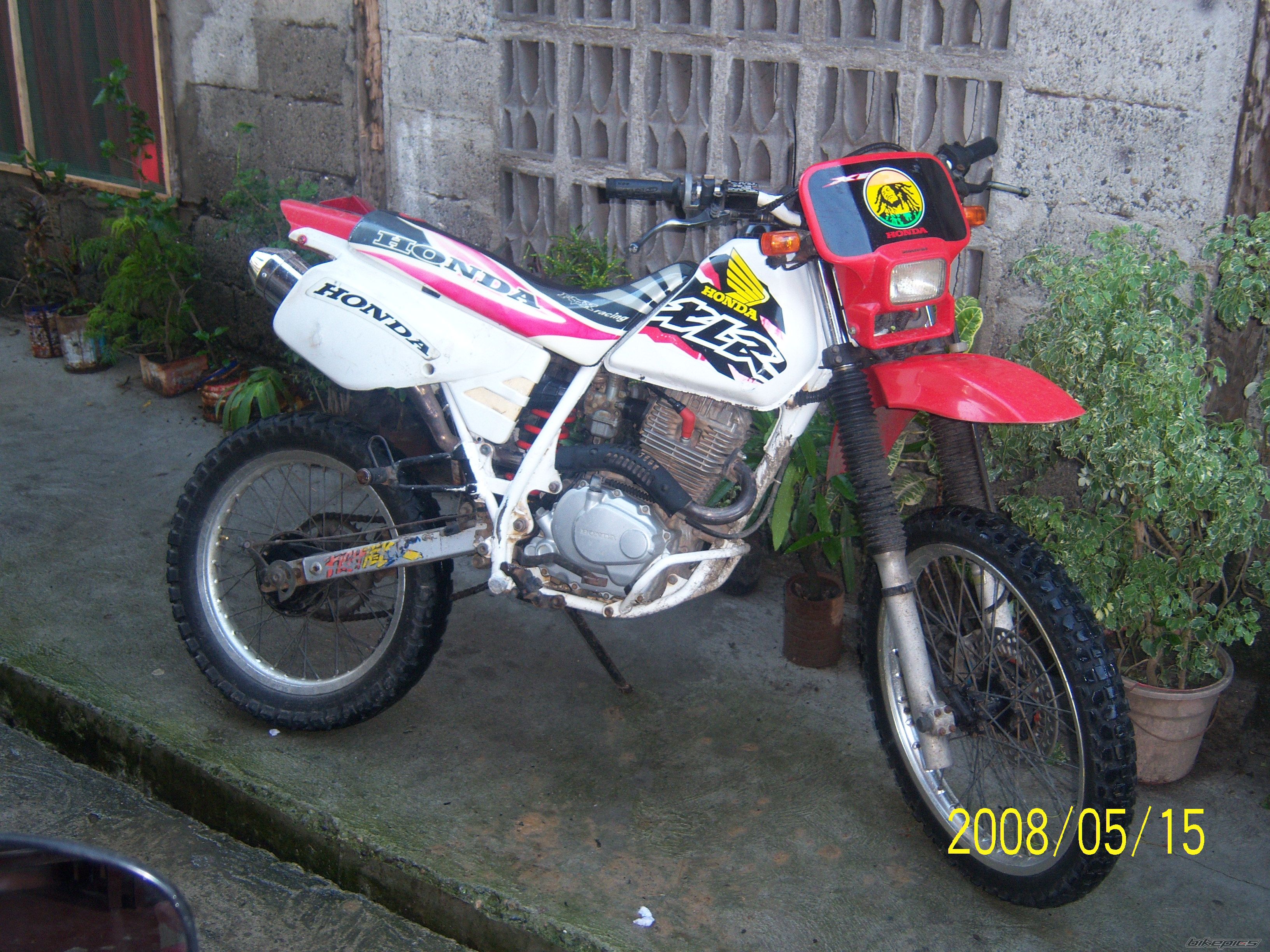 Photo 1289209