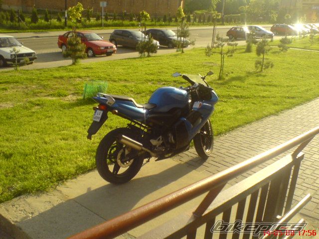 Photo 1289229