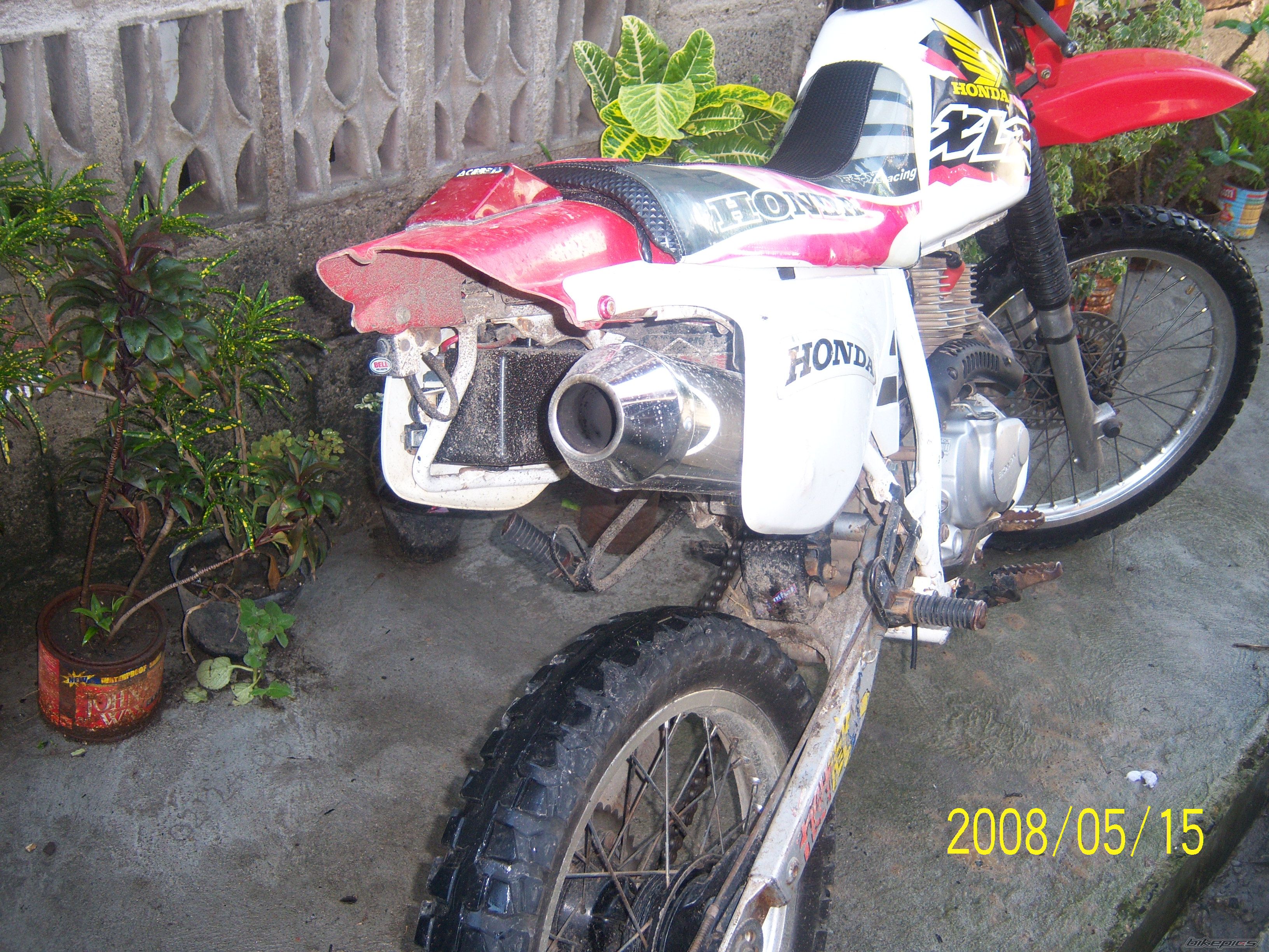 Photo 1289232