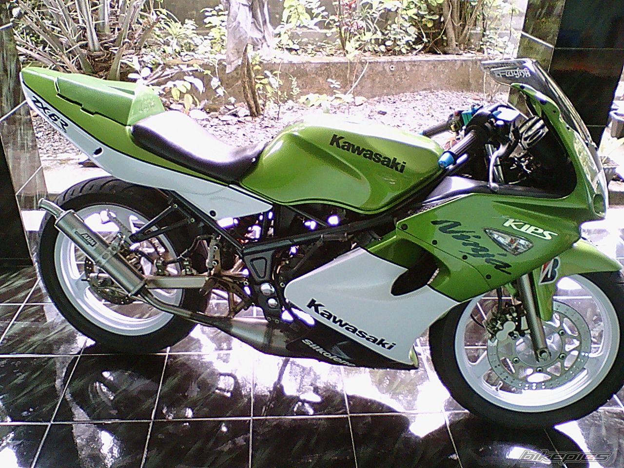 Photo 1289321