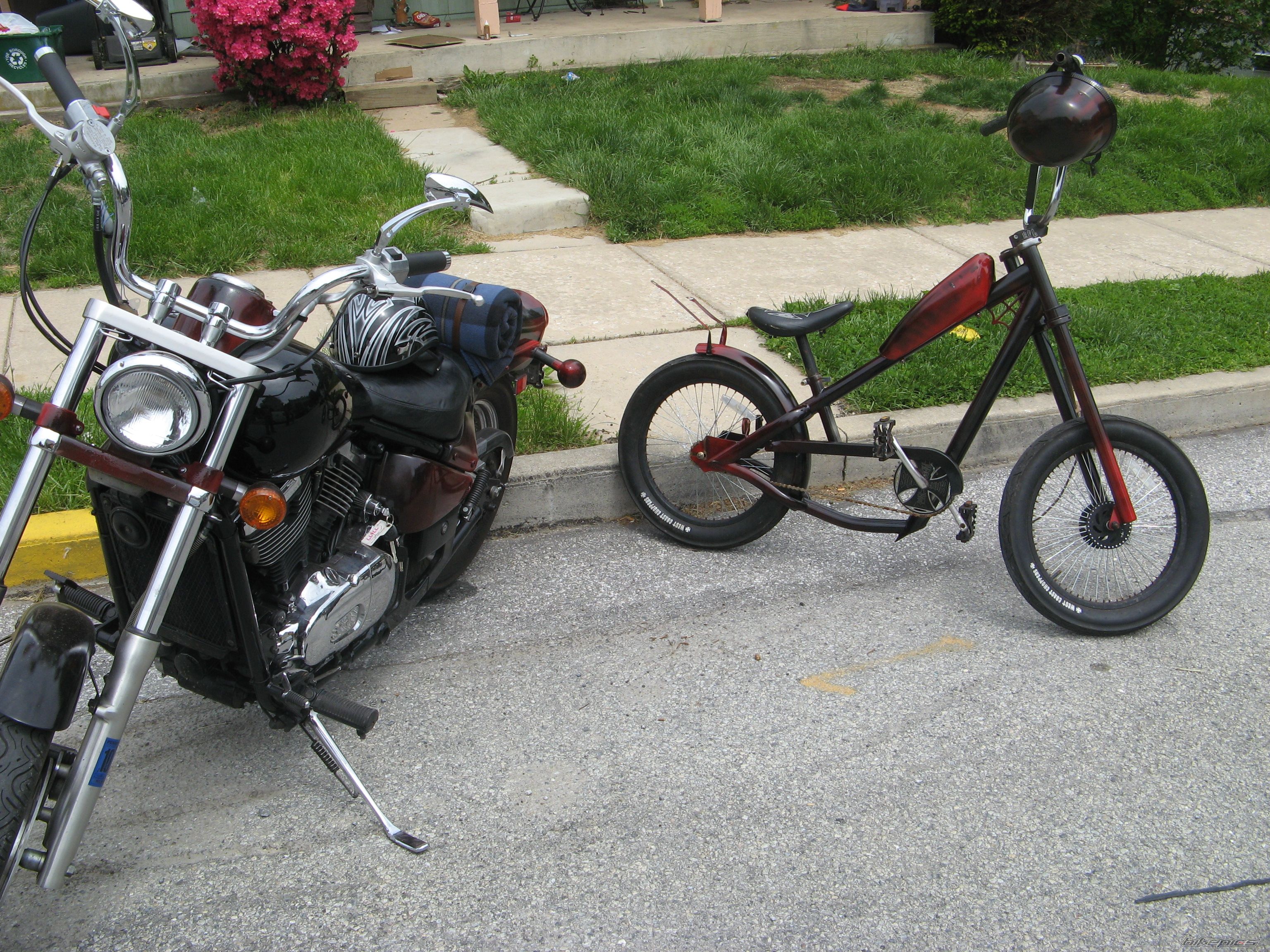 Photo 1289358