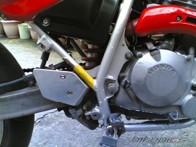 Photo 1289448
