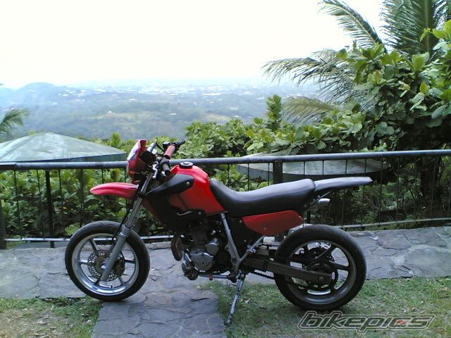 Photo 1289451