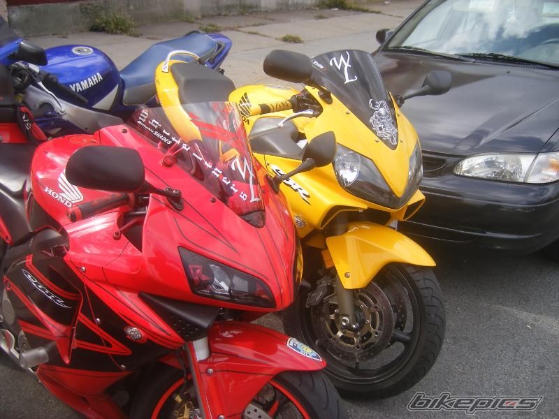 Photo 1289610