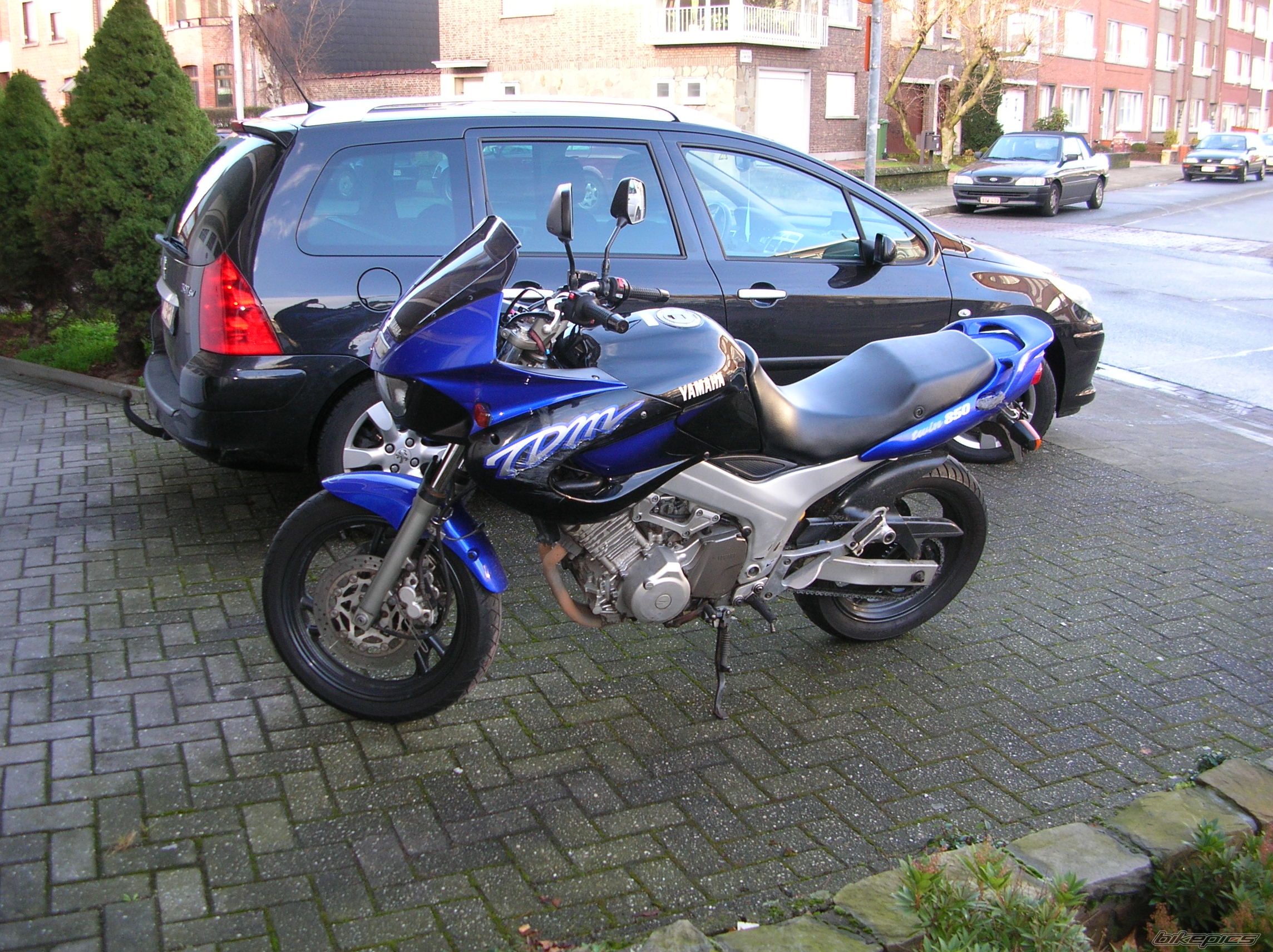 Photo 1289650