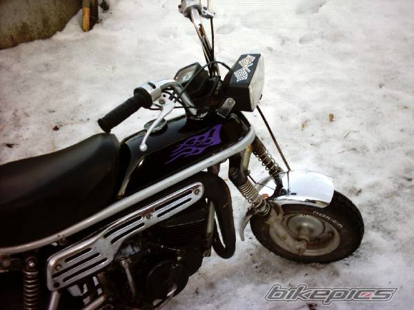 Photo 128969