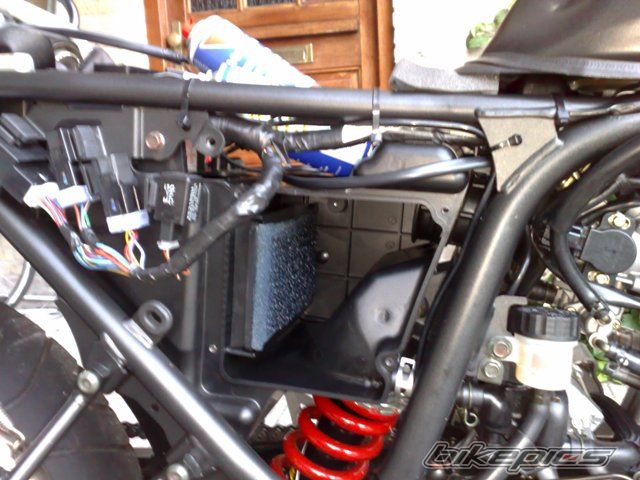 Photo 1289699