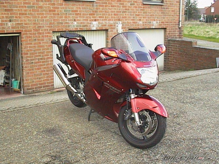 Photo 12897
