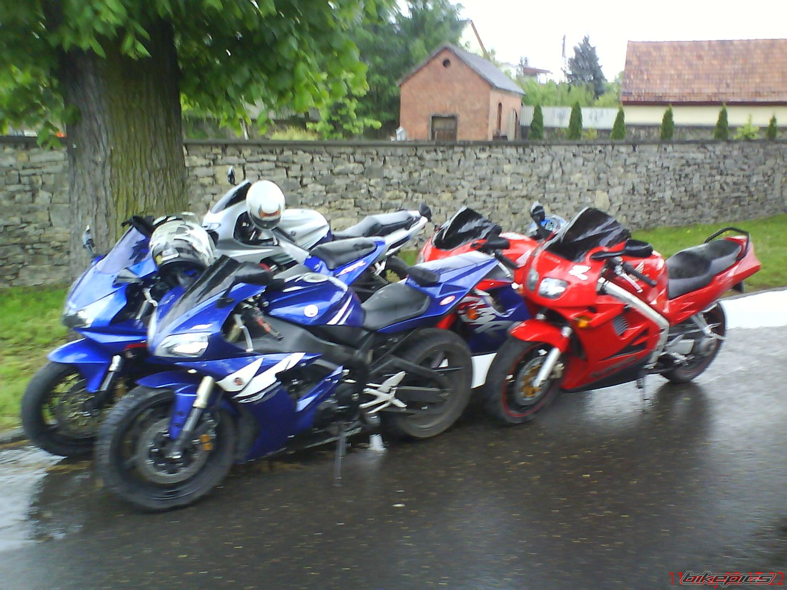 Photo 1289769