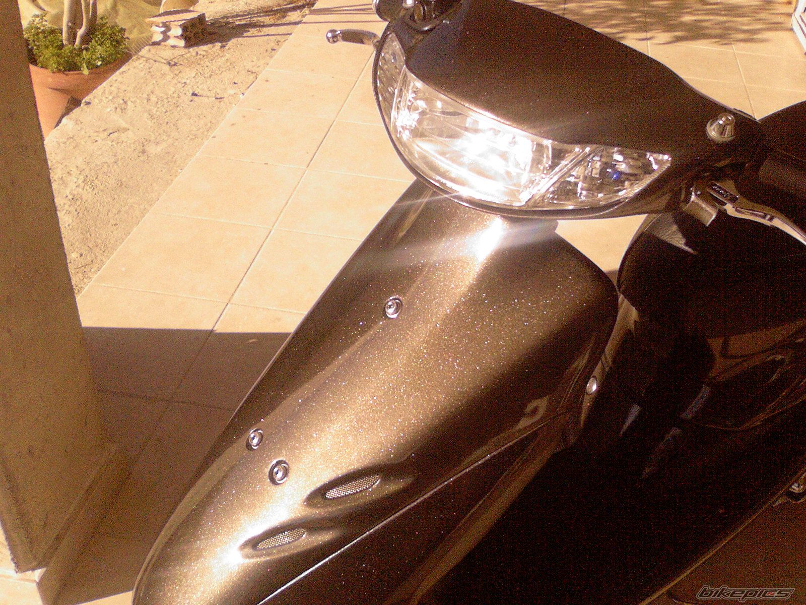 Photo 1289809