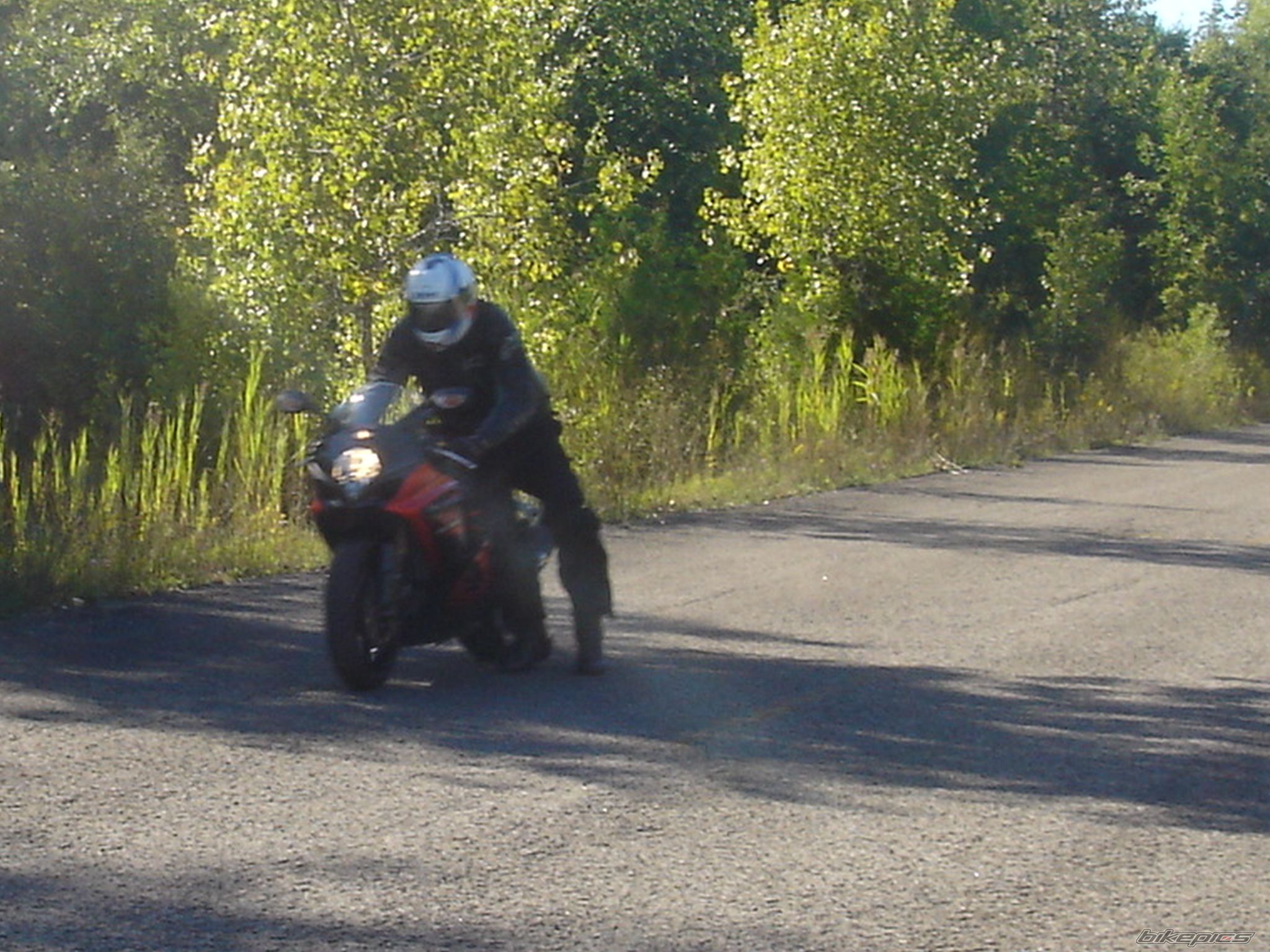 Photo 1289962