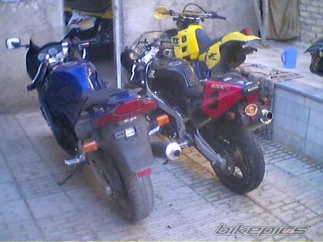 Photo 1290159