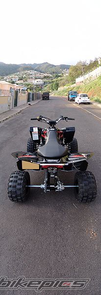 Photo 1290313
