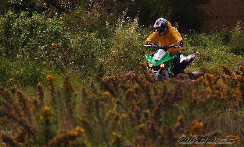 Photo 1290322