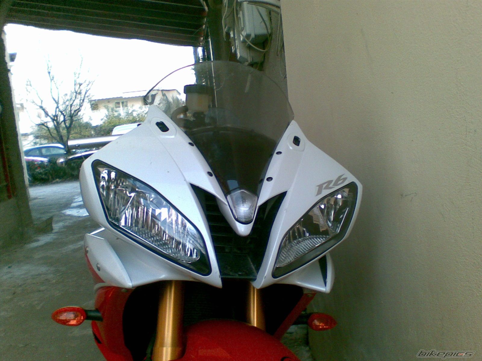 Photo 1290339