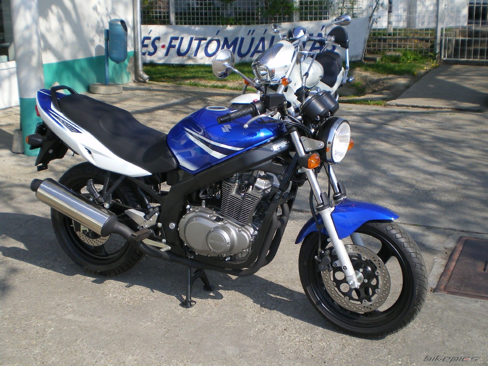 Photo 1290369
