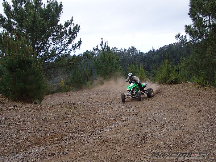 Photo 1290384