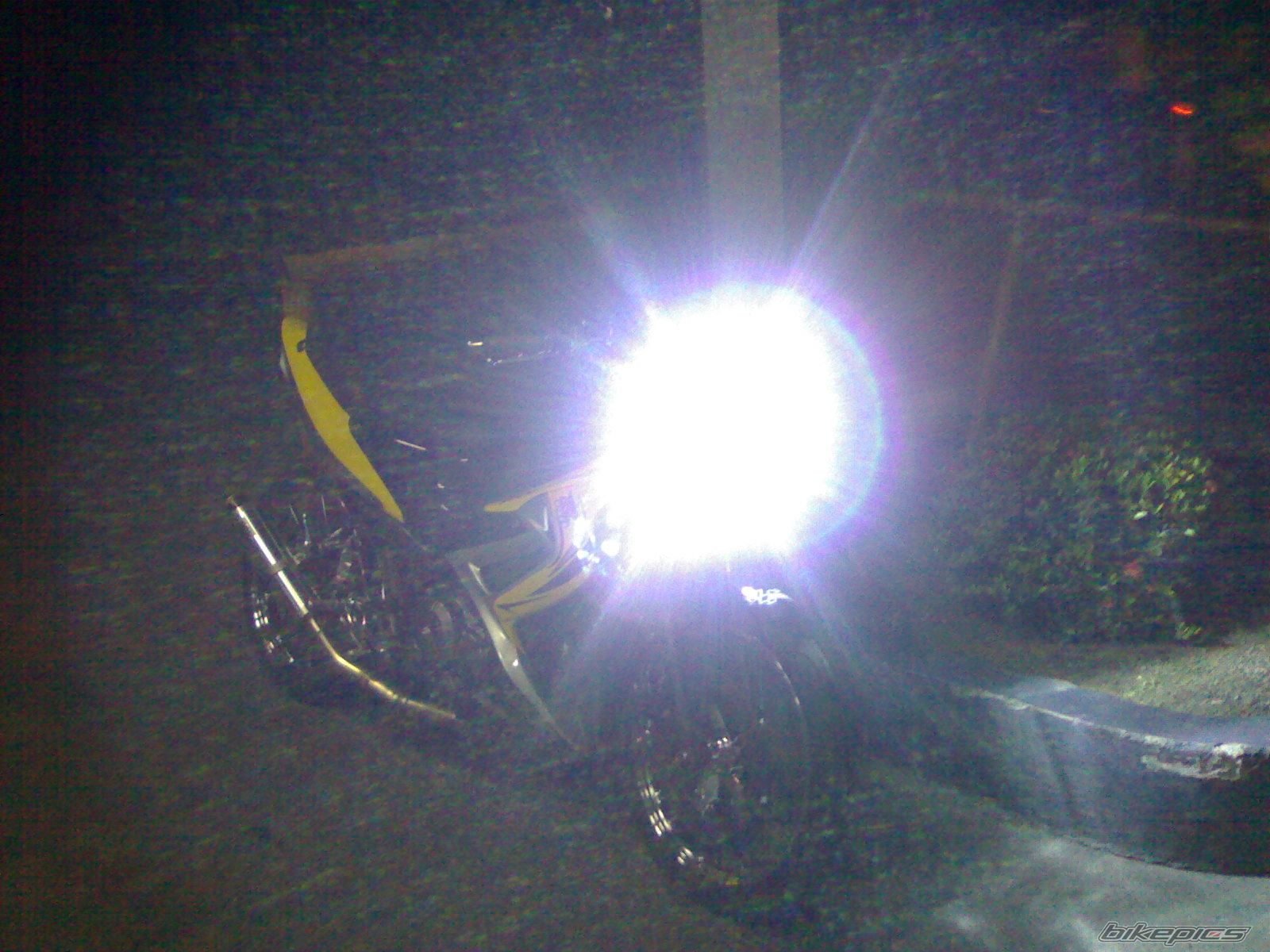 Photo 1290430