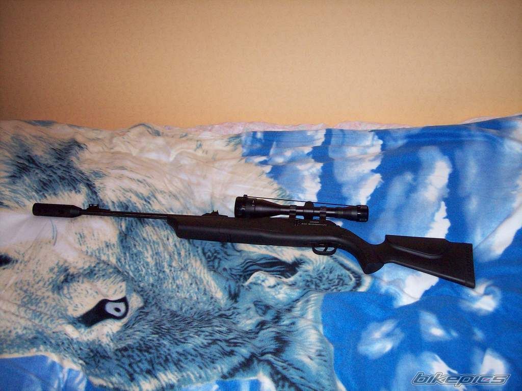 Photo 1290572