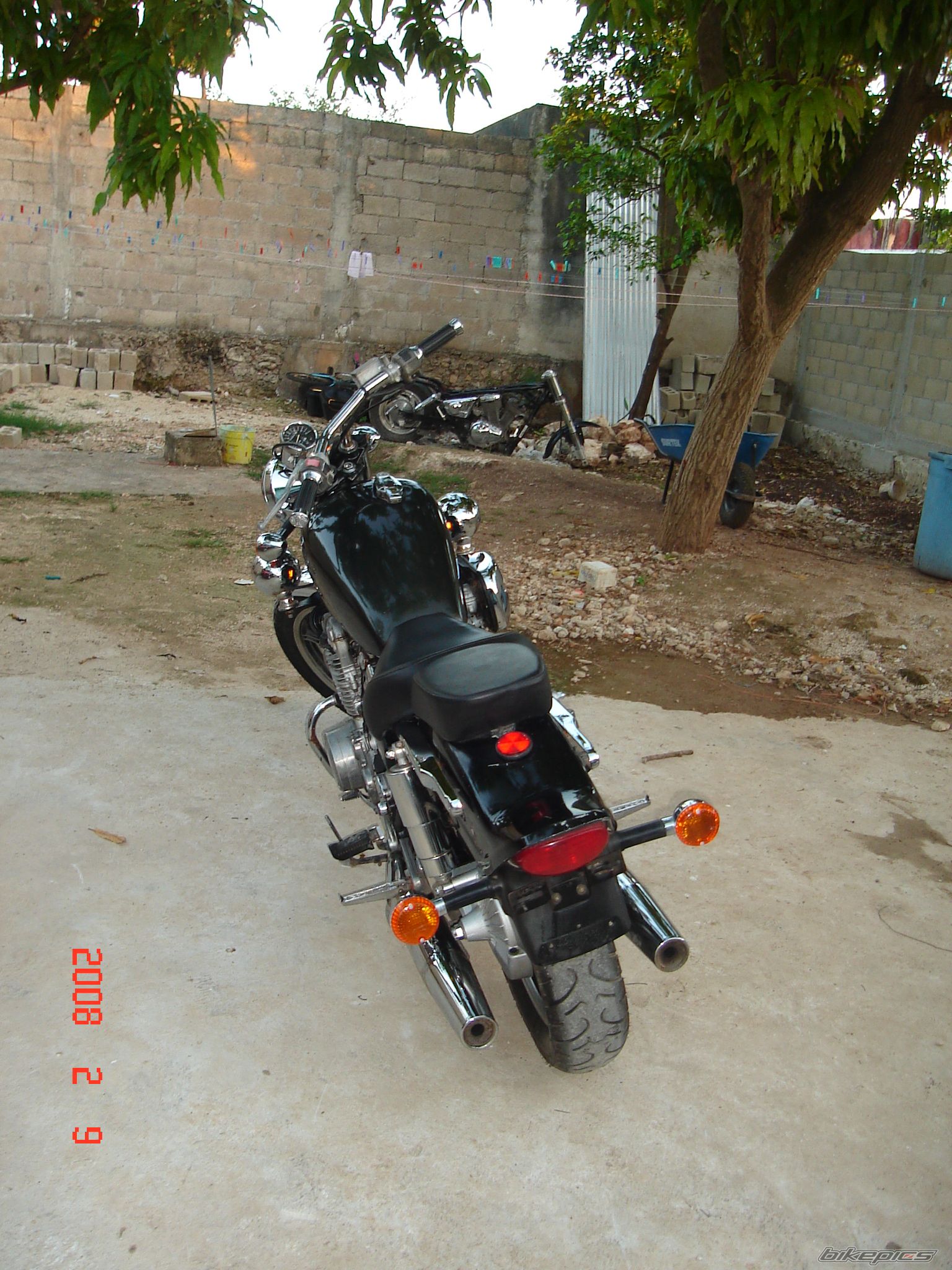 Photo 1290666