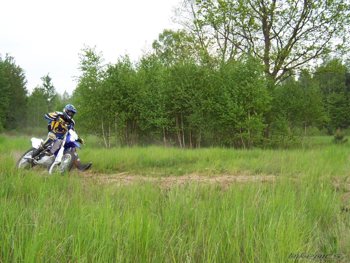 Photo 1290688
