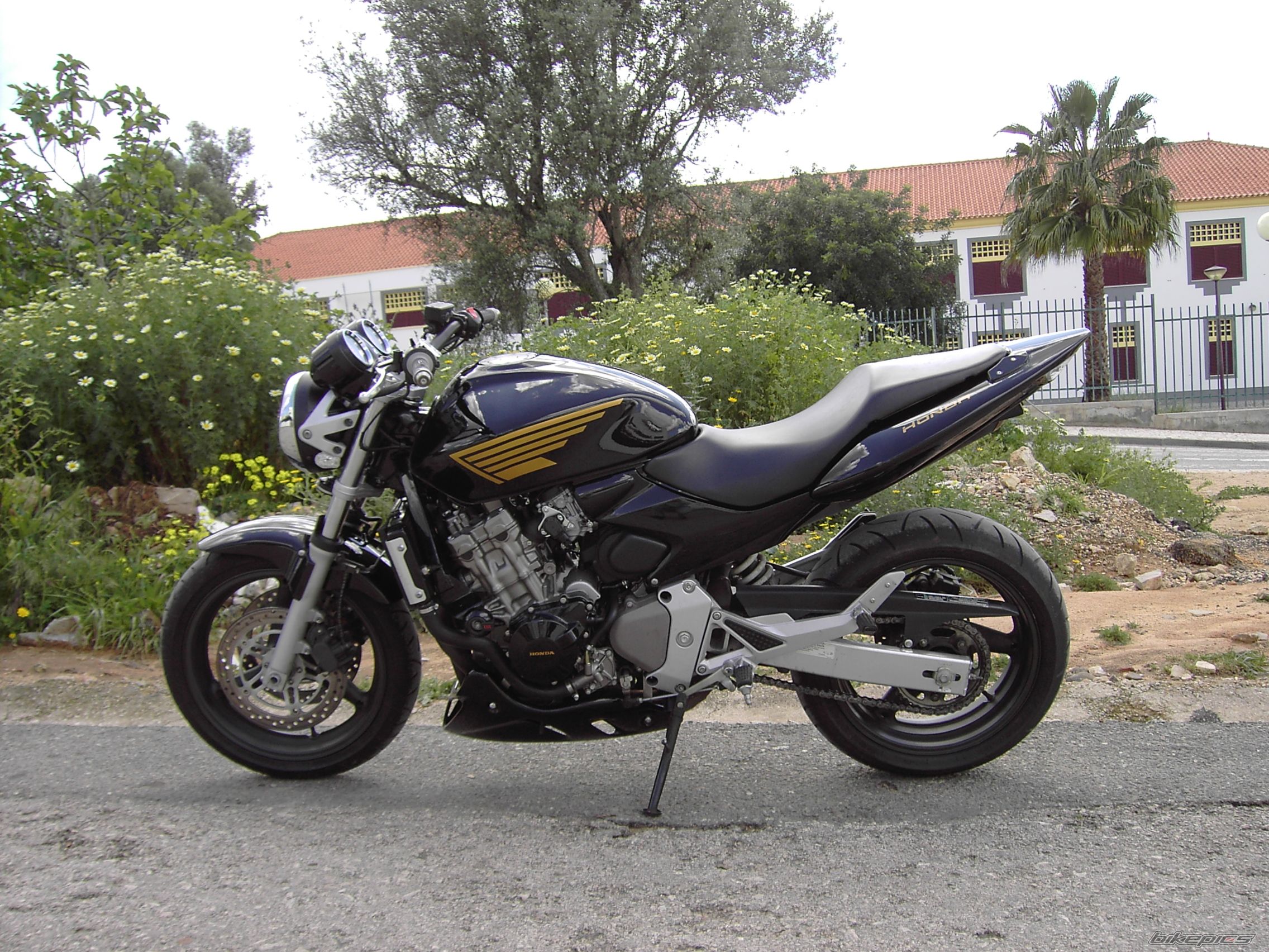Bike Photo 1290873