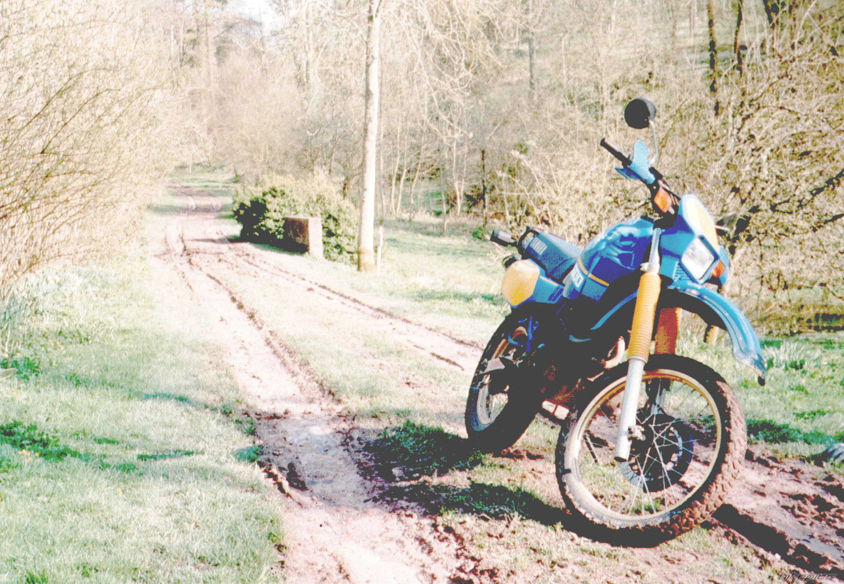 Bike Photo 1290880