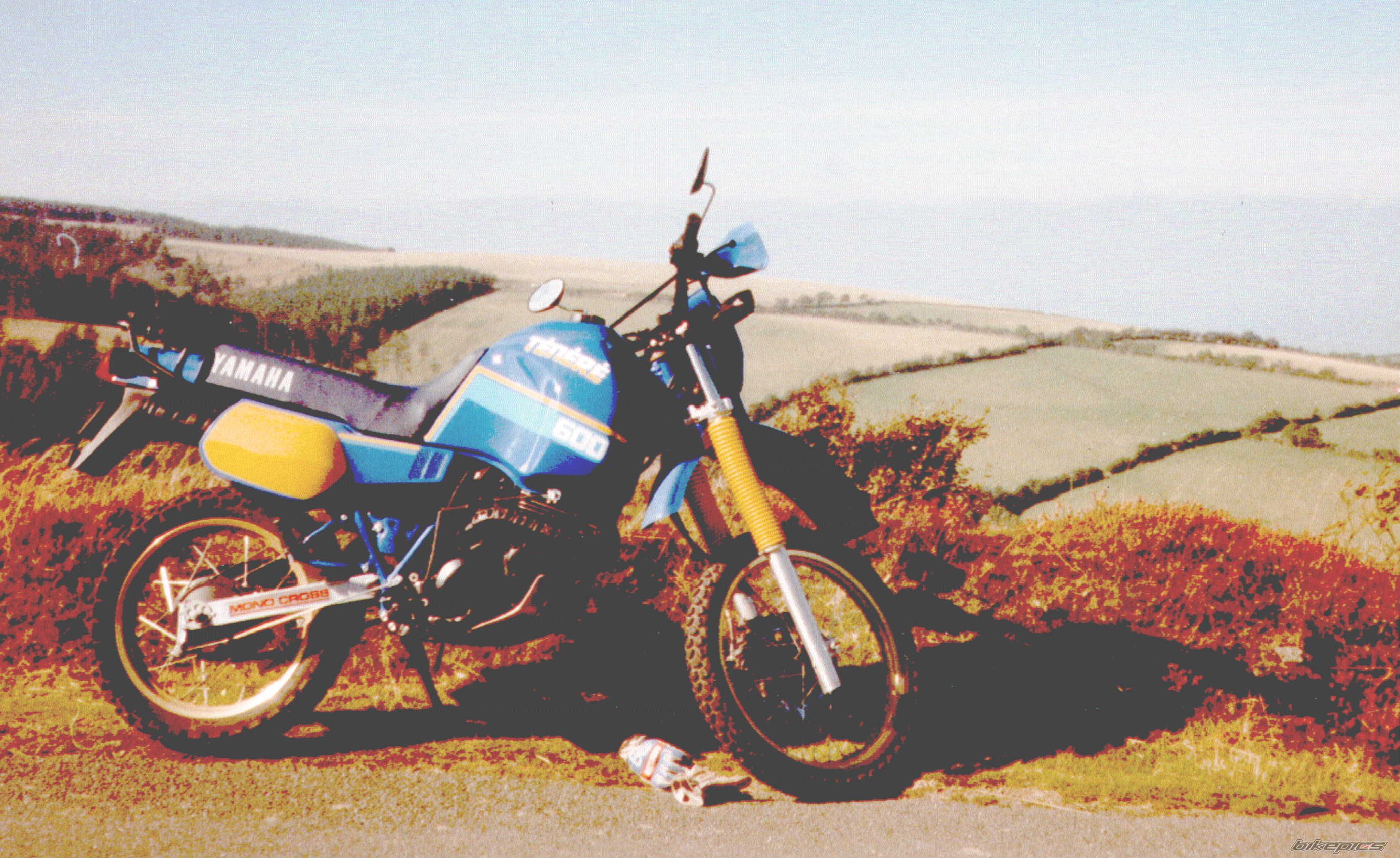 Bike Photo 1290886