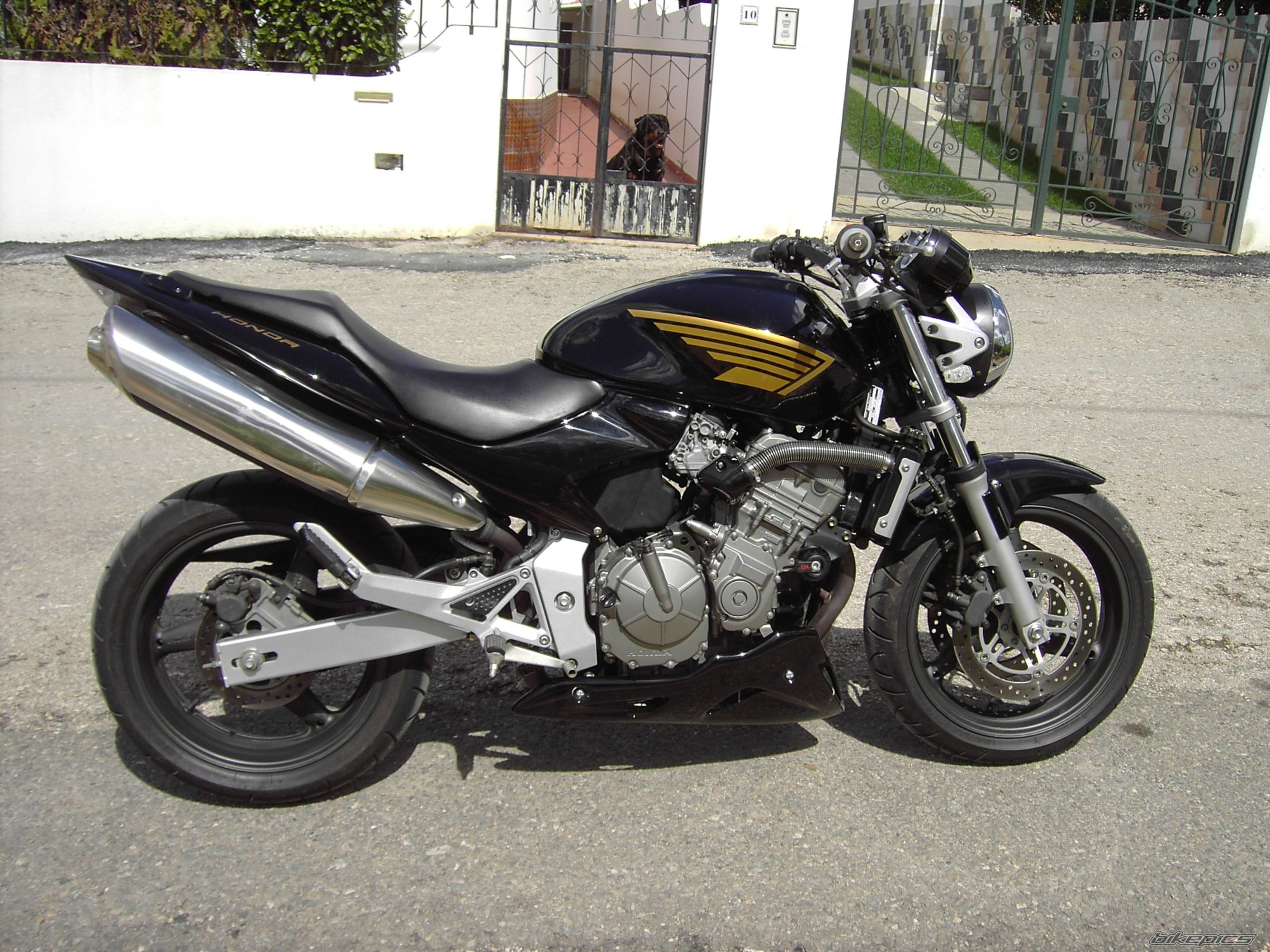 Bike Photo 1290935