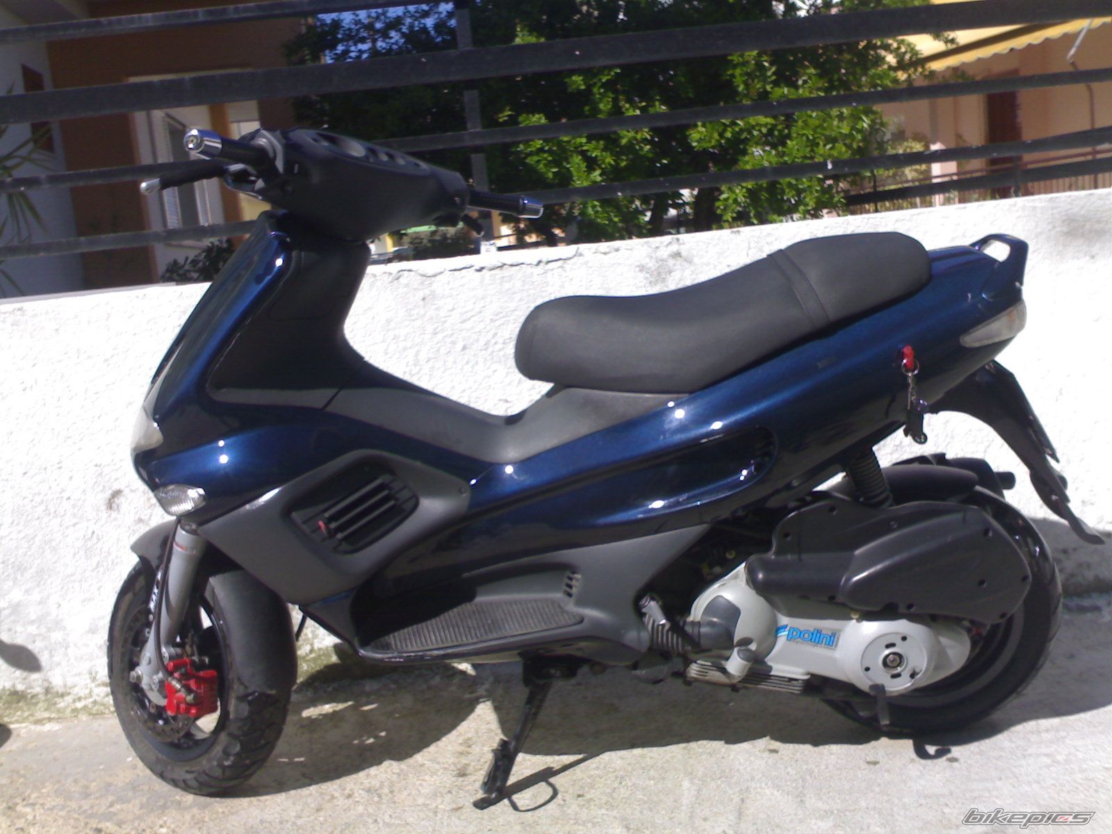 Photo 1290941