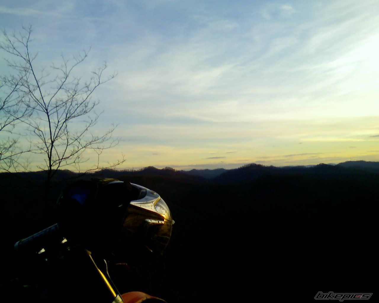 Photo 1291061