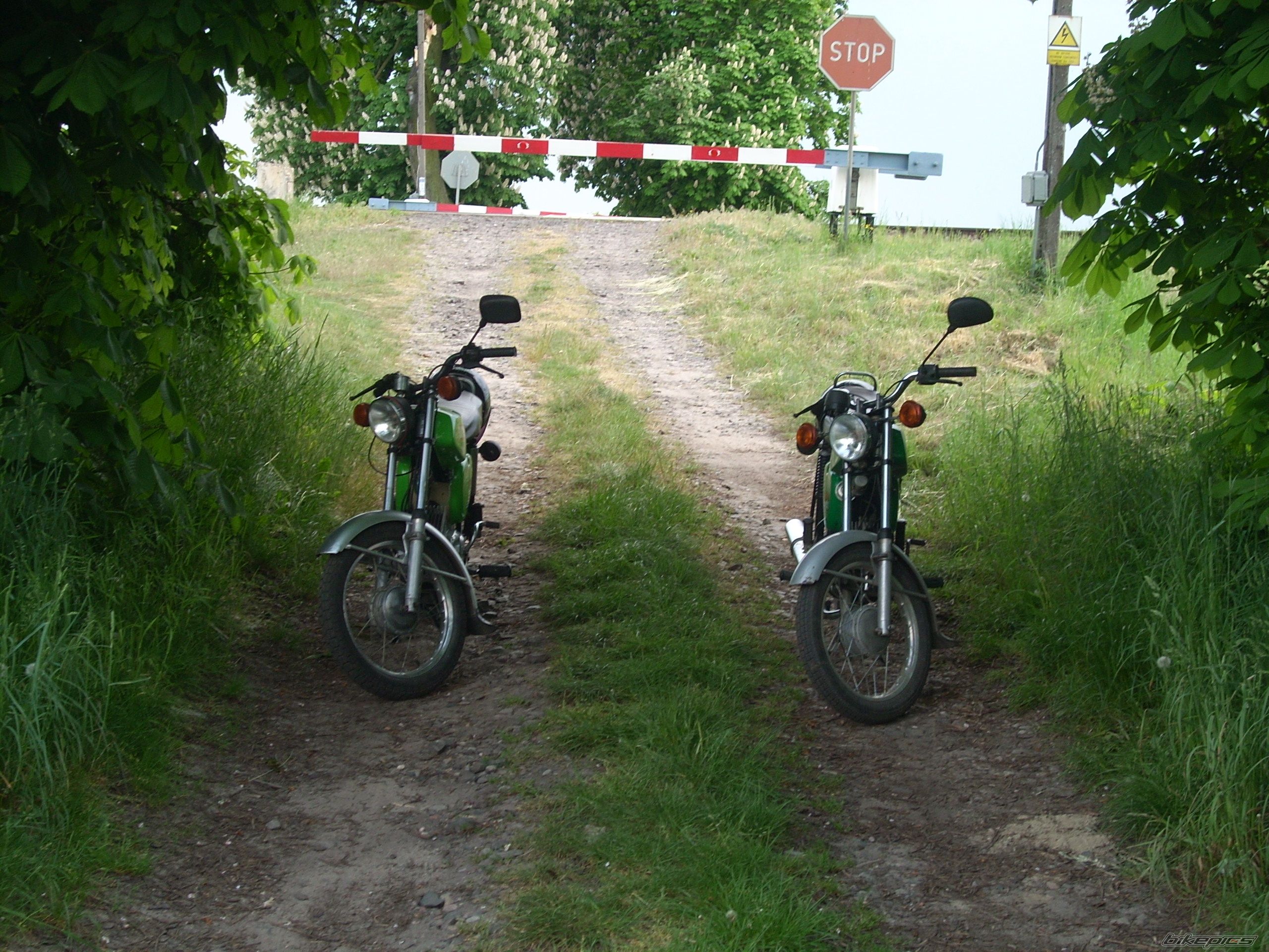 Photo 1291169