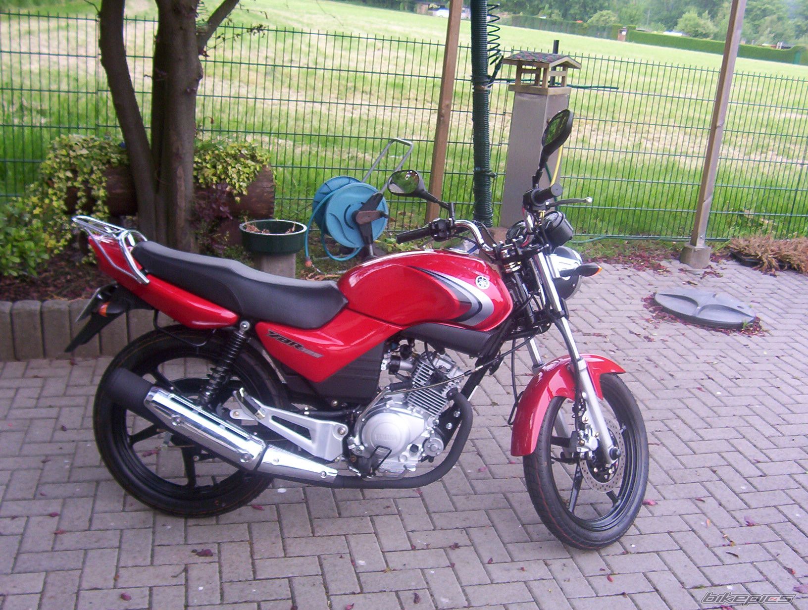 Photo 1291296