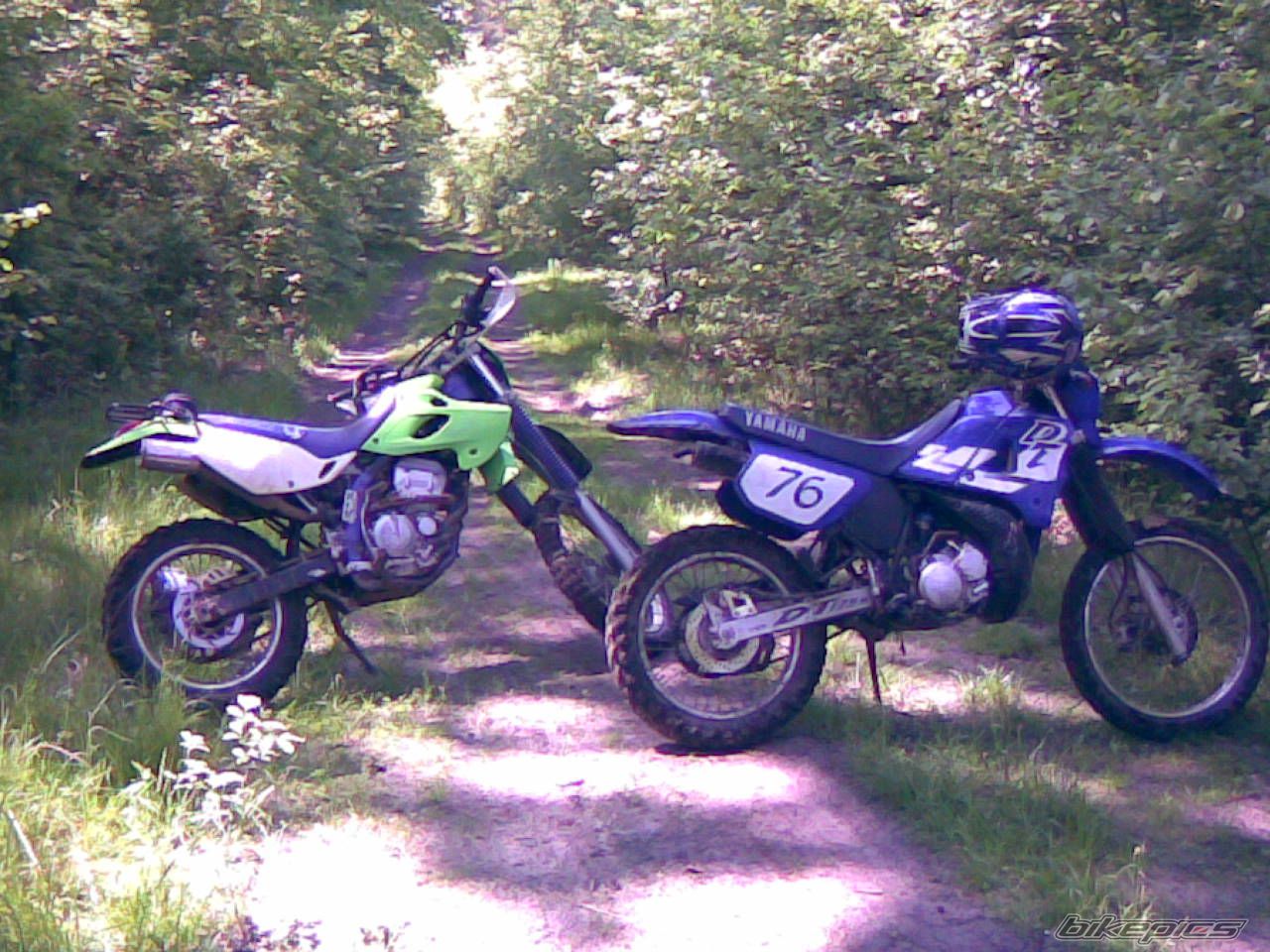 Photo 1291351