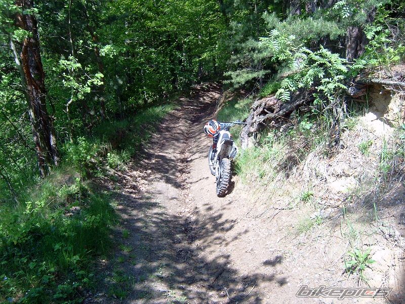 Photo 1291363
