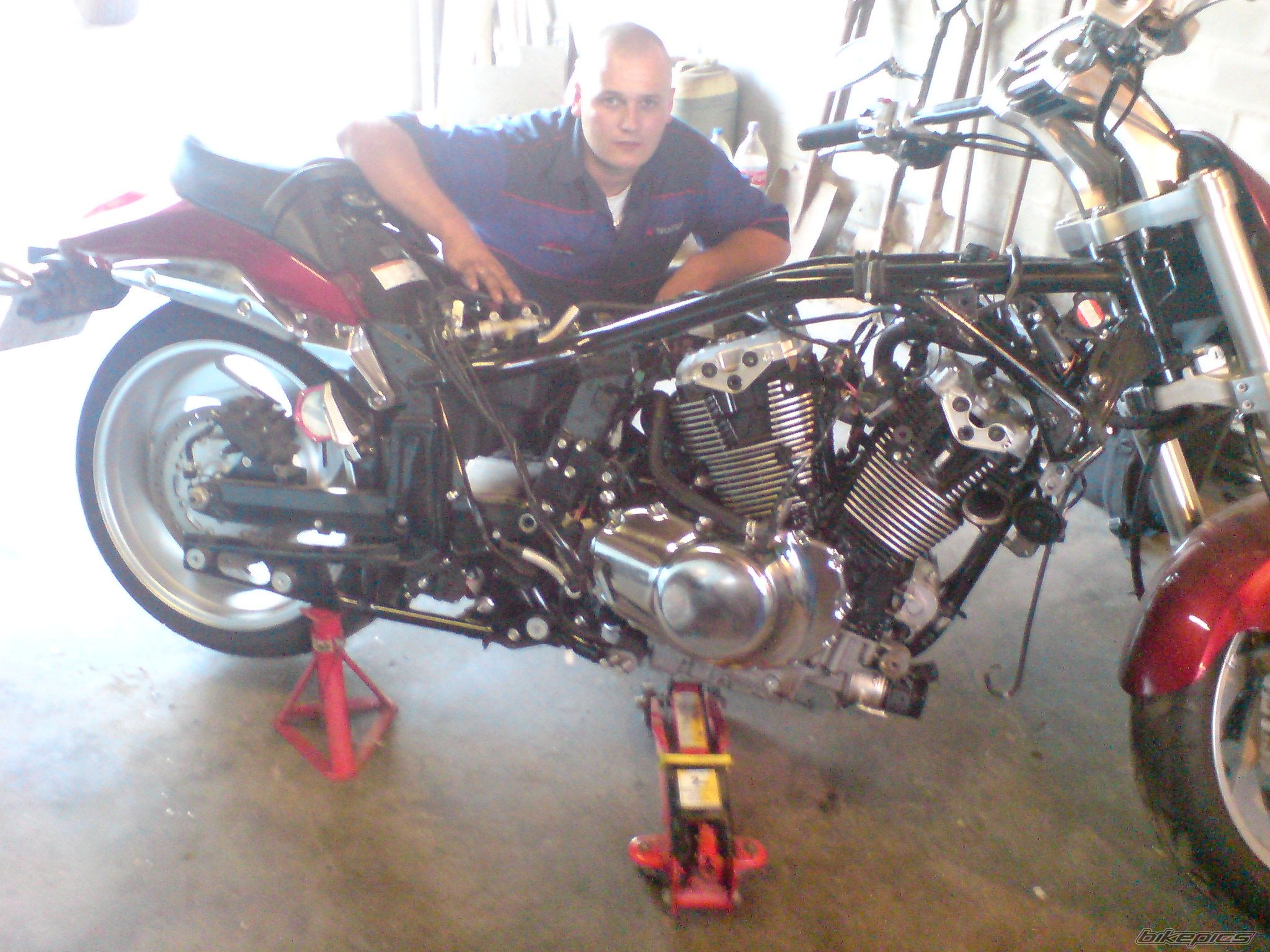Photo 1291454