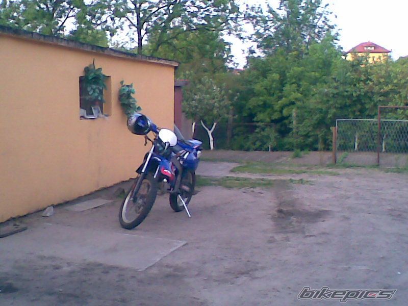 Photo 1291602