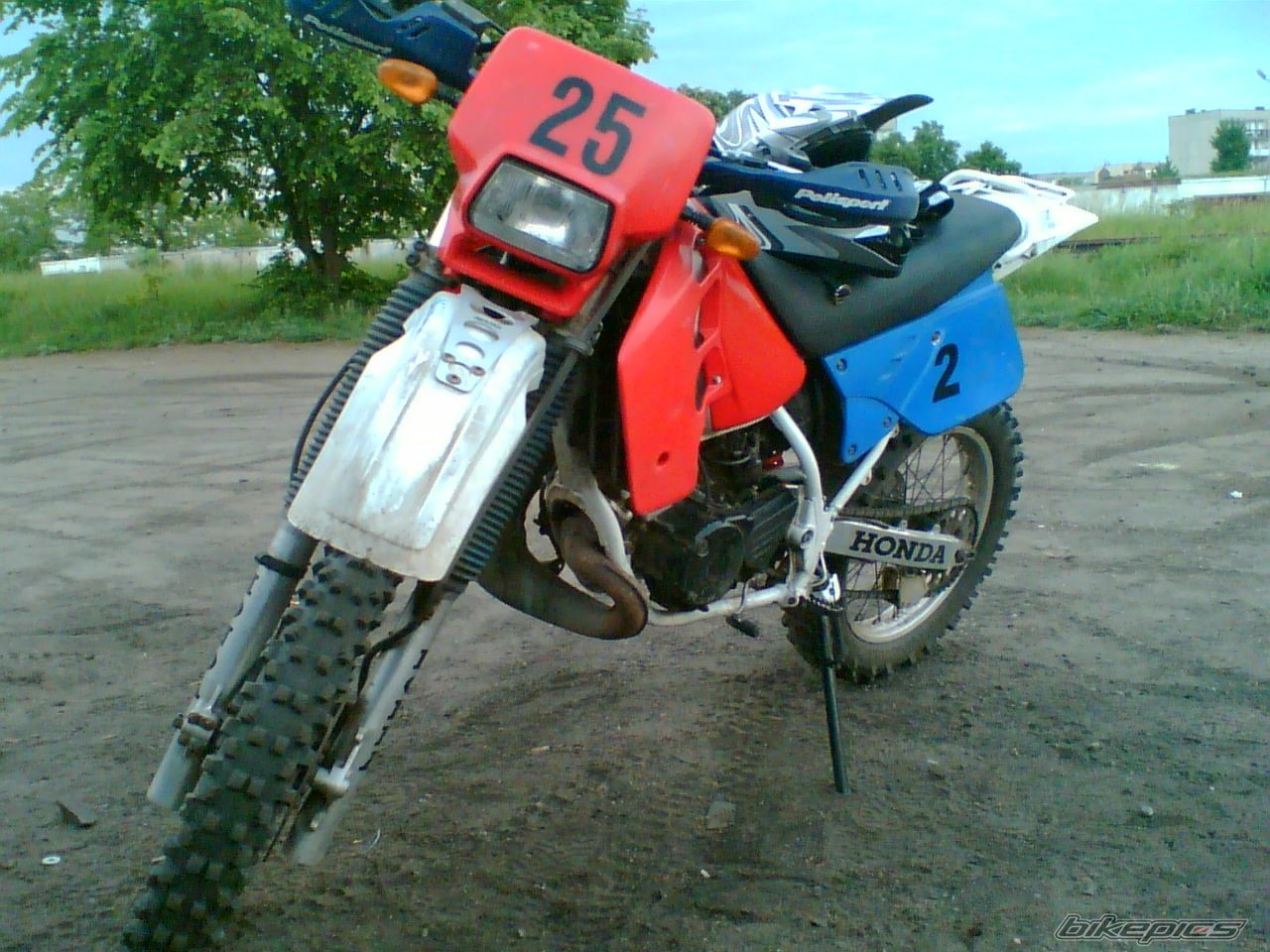 Photo 1291730