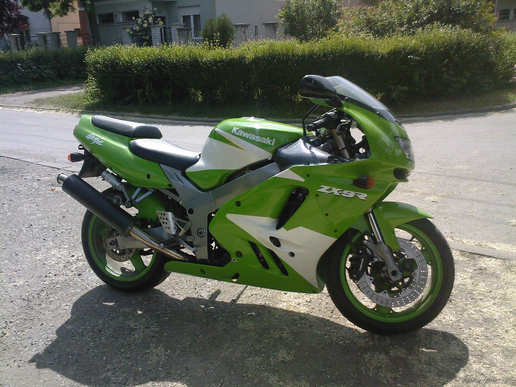 Photo 1291749