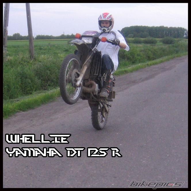 Bike Photo 1291769