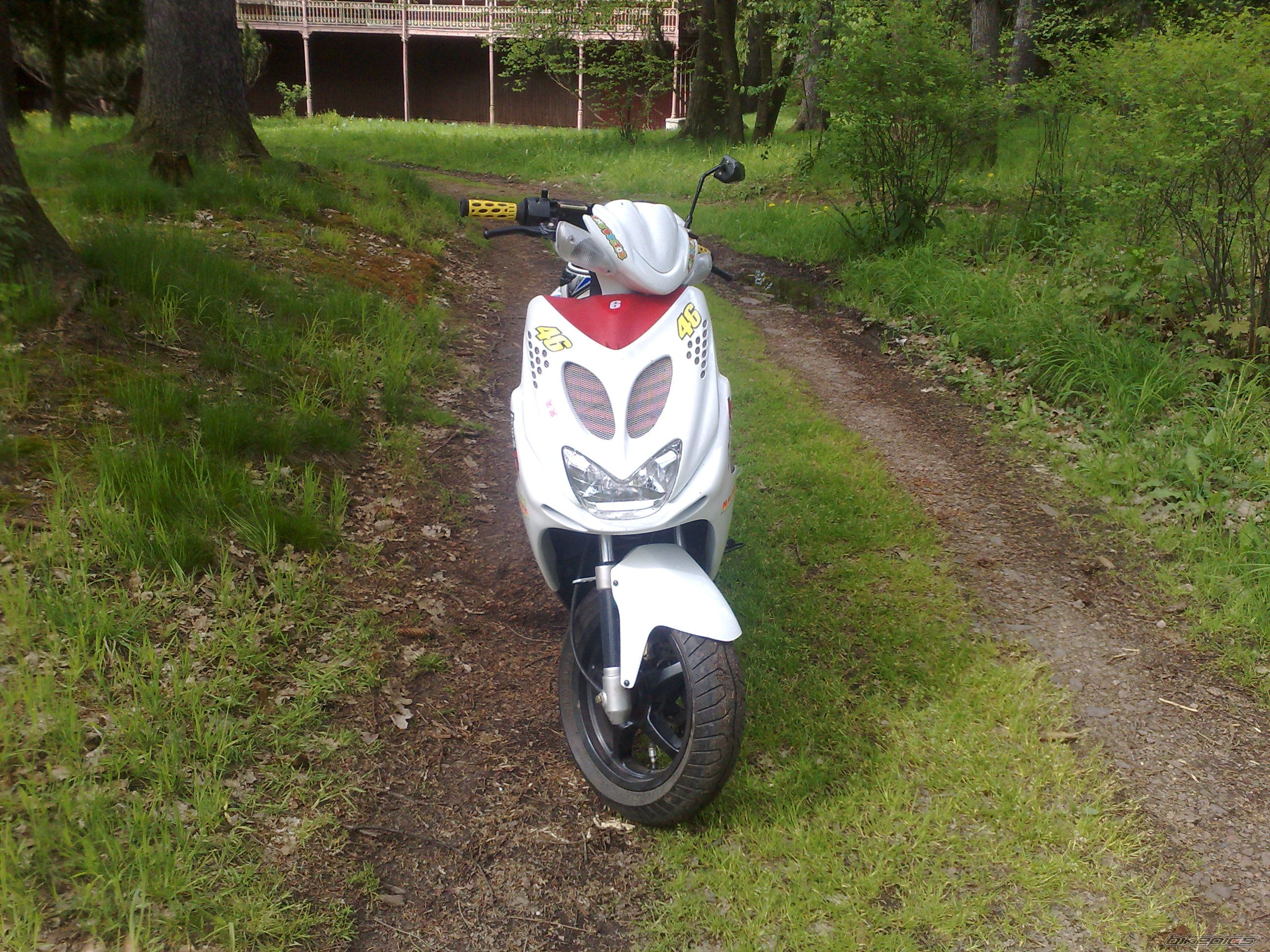 Photo 1291775