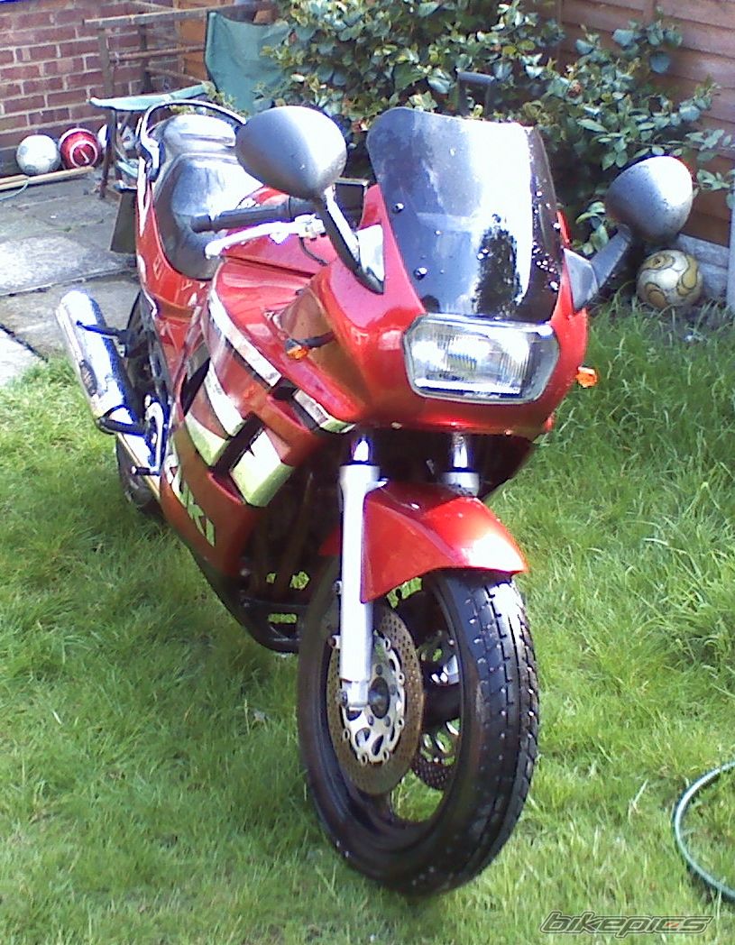 Photo 1291798