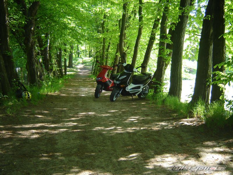 Bike Photo 1291838