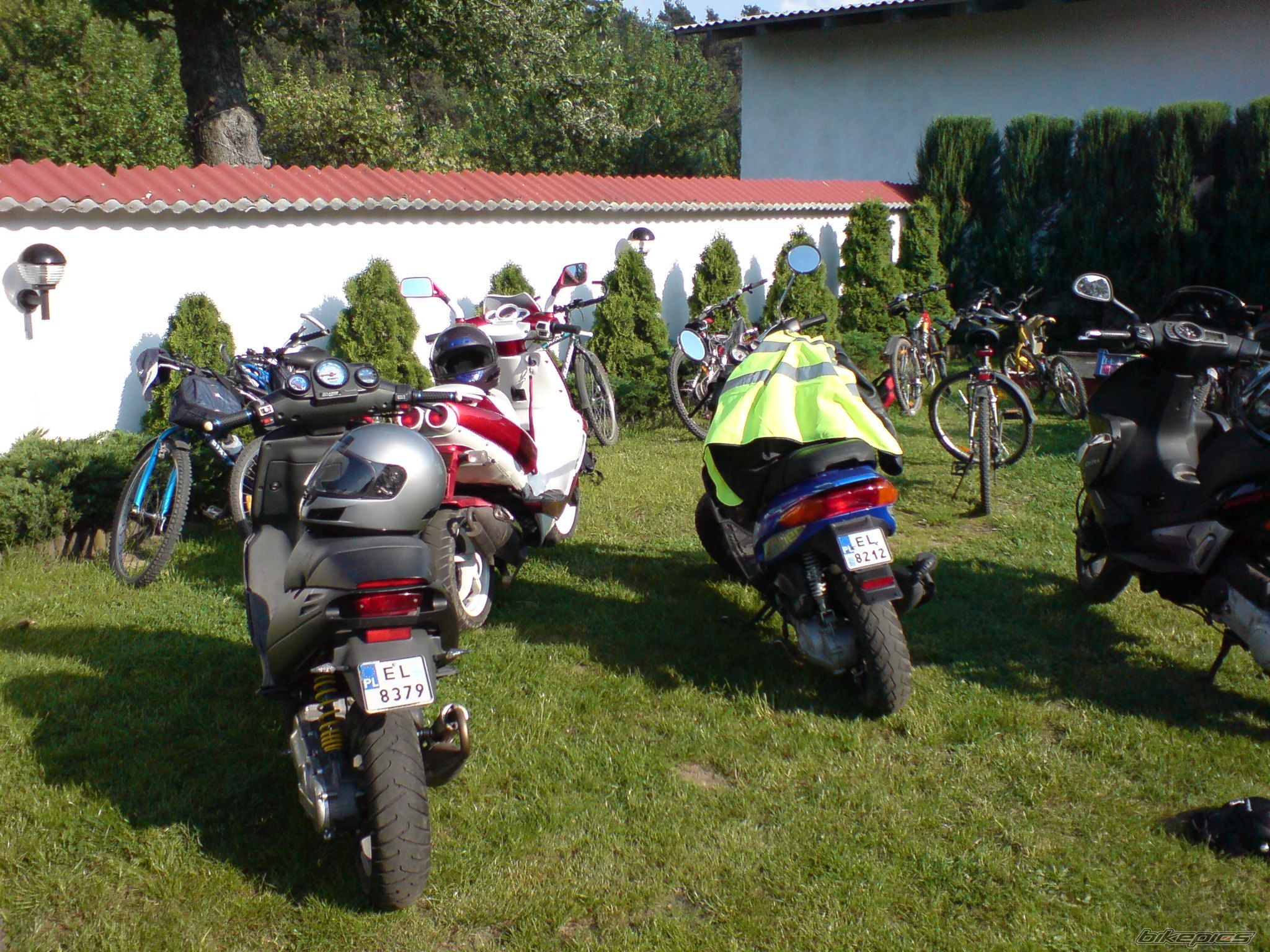 Photo 1291873