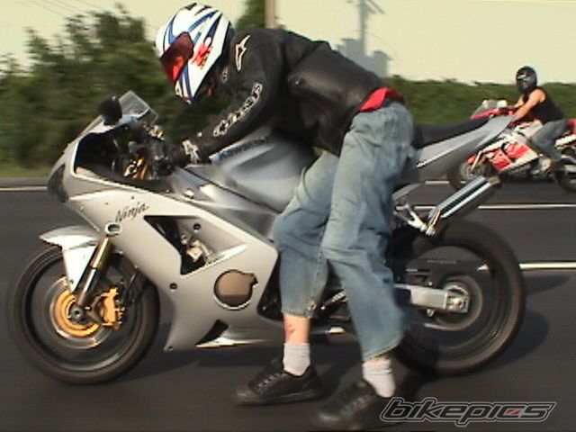 Photo 1291876